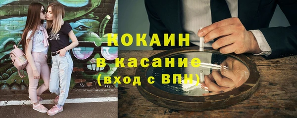 твердый Арсеньев