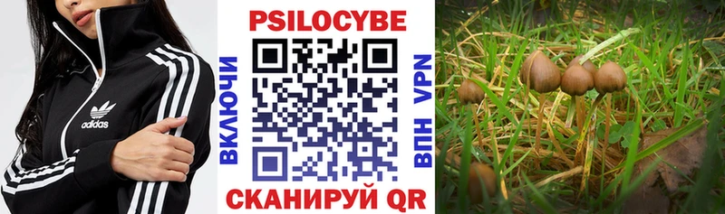 Купить Котлас Псилоцибиновые грибы мухоморы