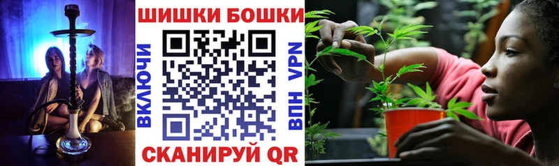 Купить закладки  Котлас  Шишки марихуана White Widow 